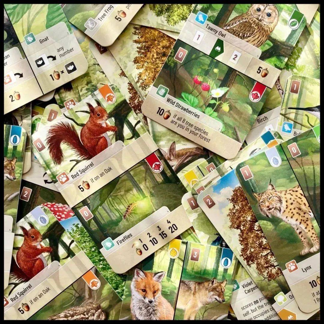 Asmodee天猫七月全场大促现已开启！开元棋牌双档满减助力好价月末采购充分选择(图24)
